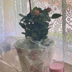 Amanda Staats Traudt - @ajstaats - Instagram