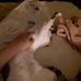 Amanda Stabler - Facebook