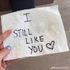 Amanda Stachura - @amanda_stachura_ - TikTok