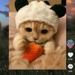 amanda stadler - @stadler4595 - Instagram