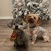 Amanda Staggs - Facebook
