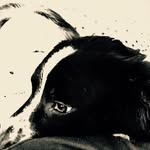 Amanda Staley - @astaley36 - Instagram