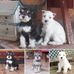 Amanda Stallard - Facebook