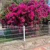 Amanda Stamp - @user130704147 - TikTok