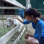 Amanda Starling - @great.lake.blues - Instagram
