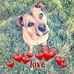 Amanda Steadman - Facebook