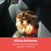 Amanda Steadman - Facebook