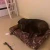 Amanda Steckel - @amandasteckel - TikTok