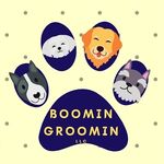 Amanda Hill-Steed - @boomingroominllc - Instagram