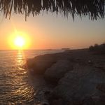Amanda Steed - @amanda.steed.378 - Instagram
