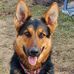 Mandy Stefanski - Facebook