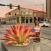 Amanda Steimel - Facebook