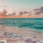 Amanda Steinhardt - Facebook