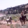 Amanda Steinhardt - @2167870456 - TikTok