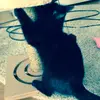 amanda.stenlund11 - @amanda.stenlund1179 - TikTok