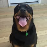 Roger Amanda Stennett - @rastennett28 - Instagram
