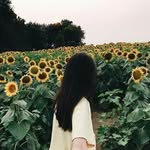 amanda Stephani Bun - @kric.k7 - Instagram
