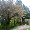 mandy - @amanda.stevens55 - TikTok