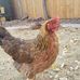 Mandy Stickle - Facebook
