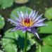 Amanda Stiller - Facebook