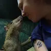 Amanda Stine - @arstine - TikTok