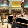 Amanda Stitt - @amandastitt1 - TikTok
