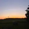 amandastocks_ - @amandastocks_ - TikTok