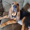 Amanda Stoeckel - @amanda.stoeckel - TikTok