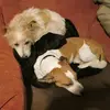 amandastokell - @amandastokell - TikTok