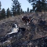 Amanda Stolp - @amandabcgal - Instagram