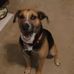 Mandy Stoltman - Facebook