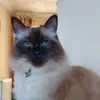 Amanda Stopper830 - @user3828101882685 - TikTok
