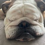 Amanda Streitmatter - @amandastreitmatter - Instagram