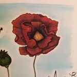 @amandastreithart - Instagram