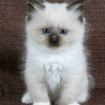 Linda Olivier - @amanda.strydom.5876 - Instagram