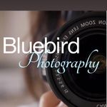 Amanda Studdard - @bluebirdphotographyastuddard - Instagram