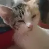 Amanda tackett - @amanda.tackett38 - TikTok