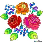 Amanda Tackett - @tackett5396 - Instagram