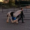 amandatackett45 - @amandatackett45 - TikTok