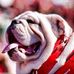 Amanda Caven Tesh - Facebook