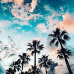 amanda - @amanda_tetere11 - Instagram