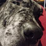 Amanda Tew - Facebook