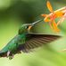 Amanda Thao - Facebook