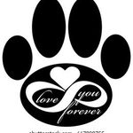 Amanda Tharp - @allpawsheartland - Instagram
