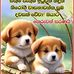 Tharu Amanda - Facebook