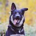 Amanda Therrien - Facebook