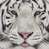 Amanda Thibodeaux - @user_amandat863 - TikTok