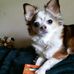 Amanda Thigpen - Facebook