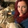 Amanda Thompson - @mandylou393 - TikTok