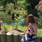 Amanda Thorne - @althorneteach - Instagram